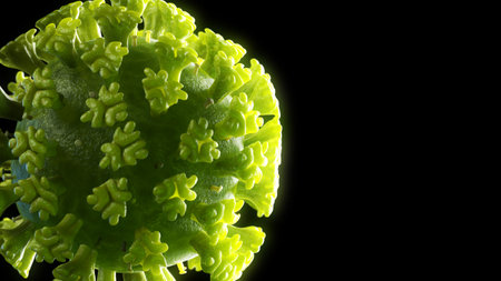3d rendered illustration of the SARS-CoV-2,  corona virus