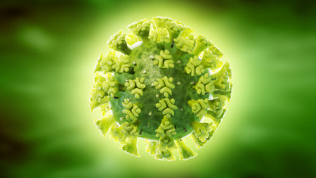3d rendered illustration of the SARS-CoV-2,  corona virusの写真素材