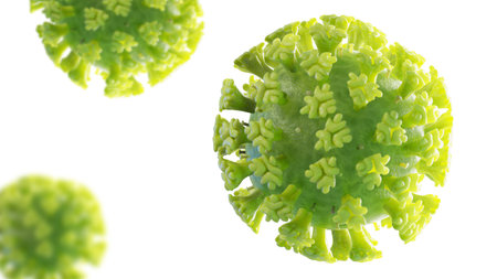 3d rendered illustration of the SARS-CoV-2,  corona virus