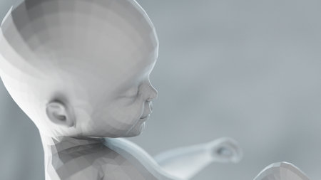 3d rendered illustration of an abstract human fetus - week 22の写真素材
