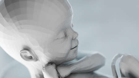 3d rendered illustration of an abstract human fetus - week 24の写真素材