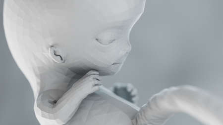 3d rendered illustration of an abstract human fetus - week 9の写真素材