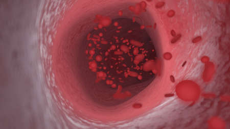 3d rendered illustration of a human artery