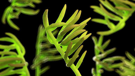 3d rendered illustration of penicillium