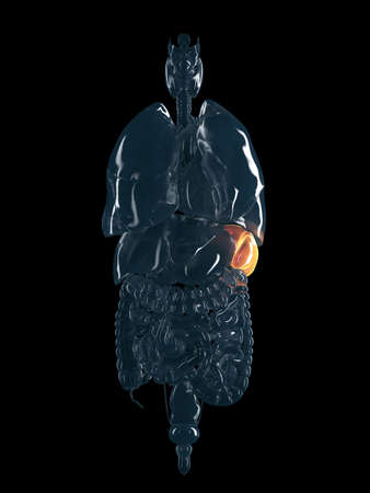 3d rendered illustration of the human whim