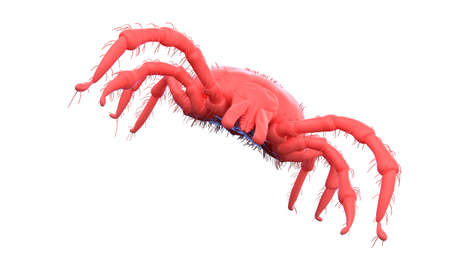 3d rendered illustration of an abstract red tick