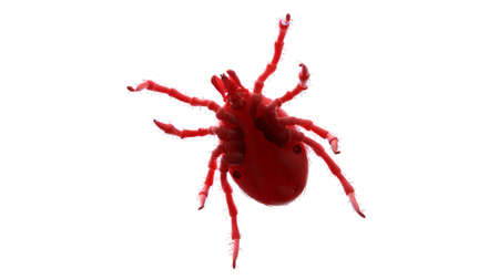 3d rendered illustration of an abstract red tick