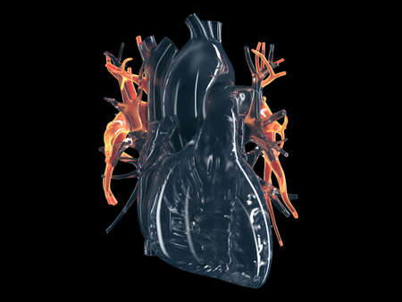 3d rendered illustration of pulmonary arteriesの写真素材