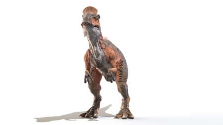 3d rendered illustration of a Cryolophosaurusの写真素材