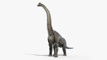 3d rendered illustration of a Brachiosaurusの写真素材
