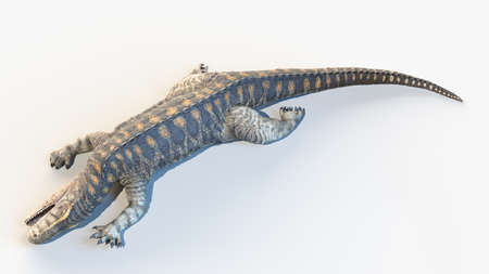 3d rendered illustration of an Euparkeriaの写真素材
