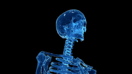 3d rendered illustration of the human skullの写真素材