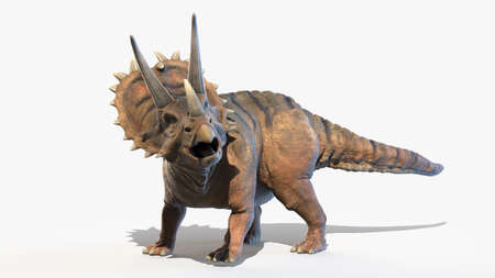 3d rendered illustration of a Pentaceratopsの写真素材