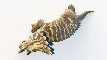3d rendered illustration of a Regaliceratopsの写真素材