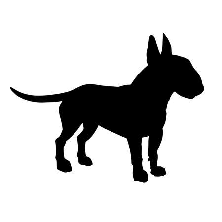 English bull terrier silhouette. Vector illustration isolated on white background.のイラスト素材