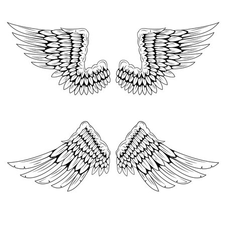 Pair of bird wings isolated on white background. Angel wings. Wings for tattoo. design element.のイラスト素材