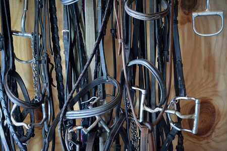 Horse Martingales and Breastcollarsの写真素材