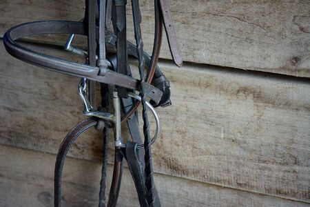 Horse Martingales and Breastcollarsの写真素材