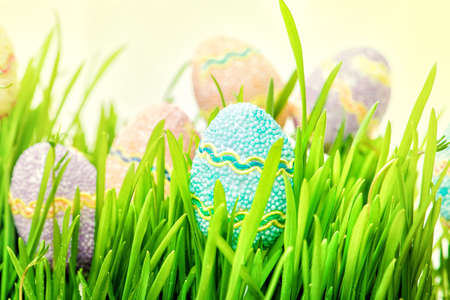 Easter eggs hiding in the green grassの写真素材
