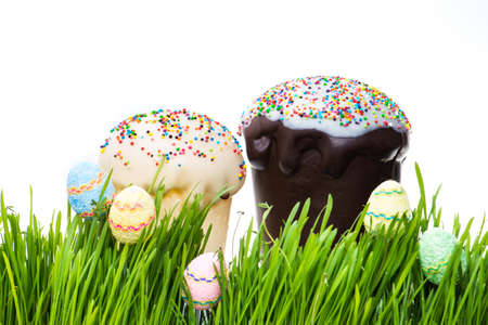 Easter cake and easter egg hiding in the grass. Isolatedの写真素材