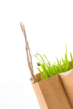 Simple paper eco bag with fresh grocery and ladybug on green leafの写真素材