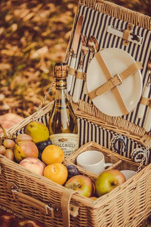Picnic basket with food on yellow autumn lawn.の写真素材