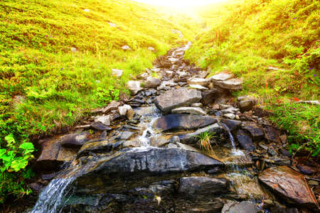Small waterfall in the wood between rocks, sunset lightの写真素材