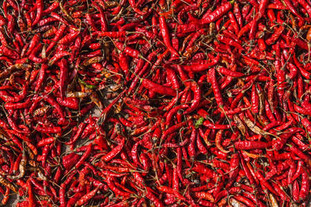 dry red chili pepperの写真素材