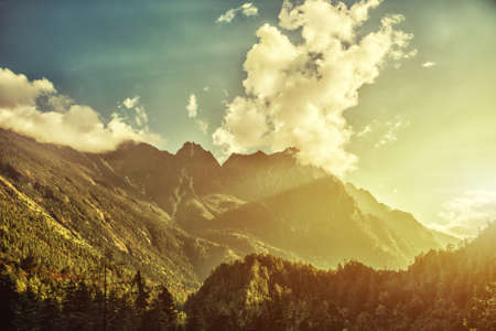 High mountains covered by treesの写真素材