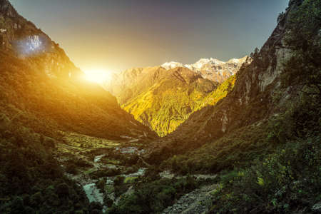 High mountains covered by treesの写真素材