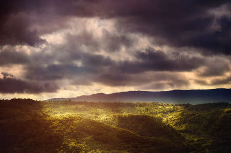 Scenic mountain landscape. View on the forest covered in fog. Colorful travel background.の写真素材