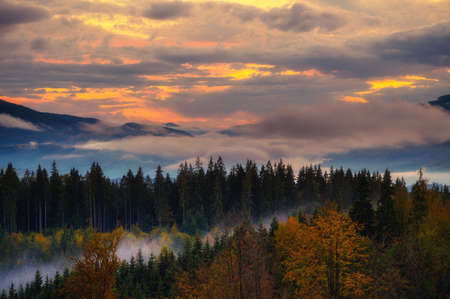 Scenic mountain landscape. View on the forest covered in fog. Colorful travel background.