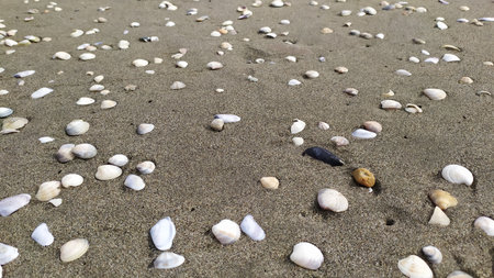 pebble stones on the sand of the beach, close-up