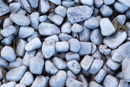 There are leaves among the white pebbles