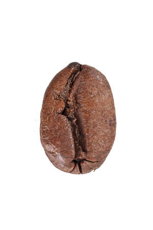 a single coffe bean, still life on whiteの写真素材