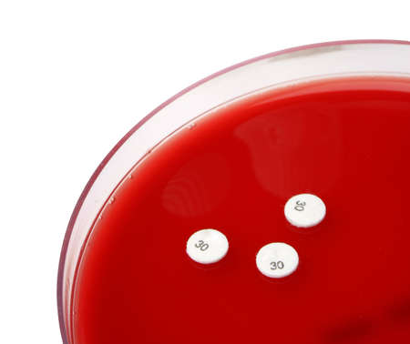 Petri dish with medication