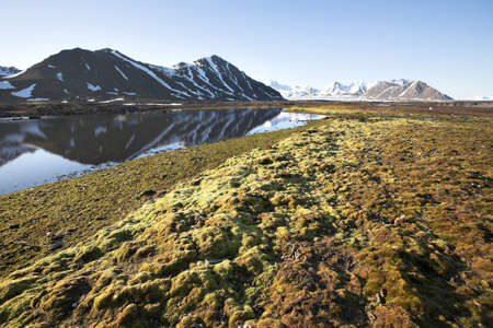 Summer Arctic landscape, Spitsbergen, Svalbardの写真素材