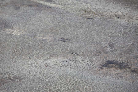 Arctic tundra abstract texture