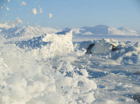 On the Arctic shore...