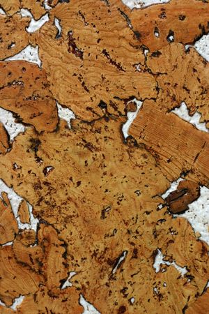 cork textureの写真素材