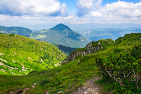 green mountains of Ukraine, Carpathians, on the whole frameの写真素材