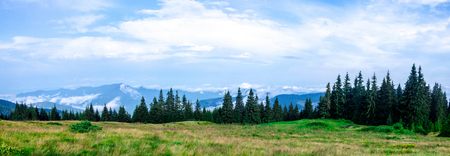 panorama of green mountains to the whole frameの写真素材