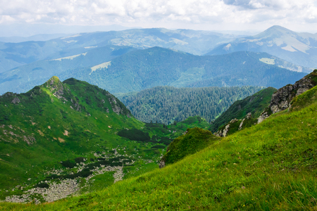 green mountains of Ukraine, Carpathians, on the whole frameの写真素材