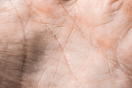 Close up macro image of the skin surface texture of human hands palms. Horizontal frameの写真素材