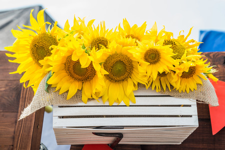 Yellow beautiful sunflowers in a wooden box. Horizontal frameの写真素材