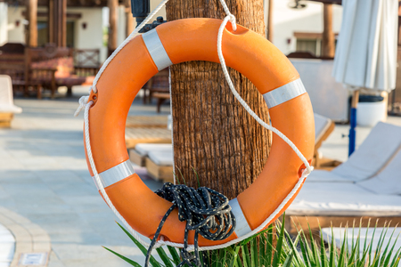 Safety. orange lifebuoy hanging on a tree. Horizontal frameの写真素材