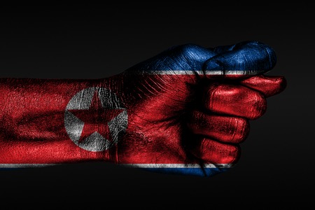 A hand with a painted North Korea flag shows a fig, a sign of aggression, disagreement, a dispute on a dark background. Horizontal frameの写真素材