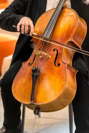 string musical instrument, viola - large violin, close up.の写真素材