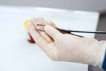 doctor's hands in white gloves hold a large tweezers - scissors