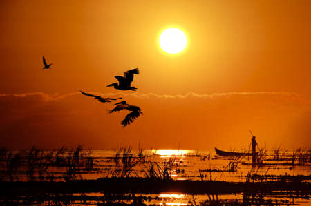 danube delta sunriseの写真素材